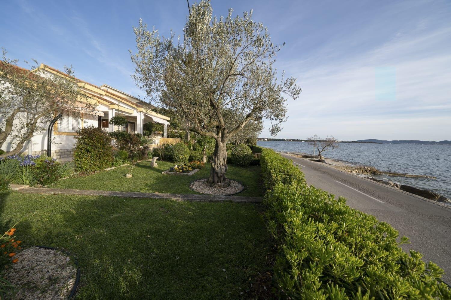 House Villa Petar 1 Zadar Eksteriør bilde